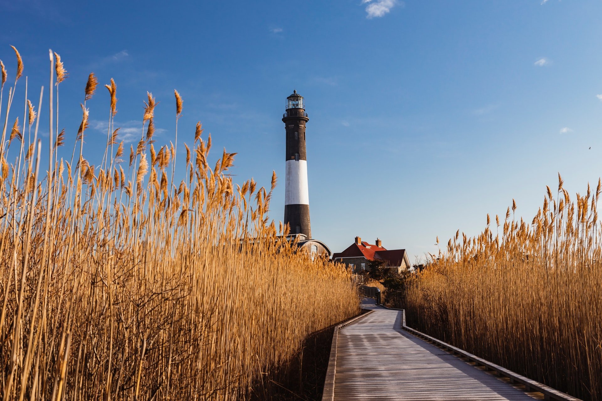 Fire Island Lighthouse