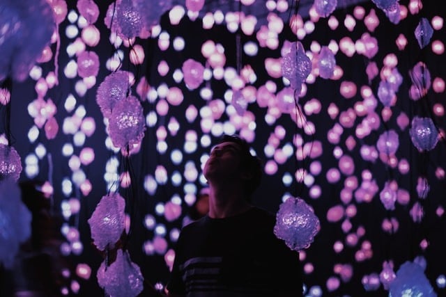 A man stares up at pink hued lightbulbs that drape to the floor