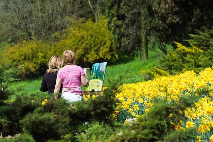 The most beautiful Italian garden is a pretty good place for some still life painting classes!