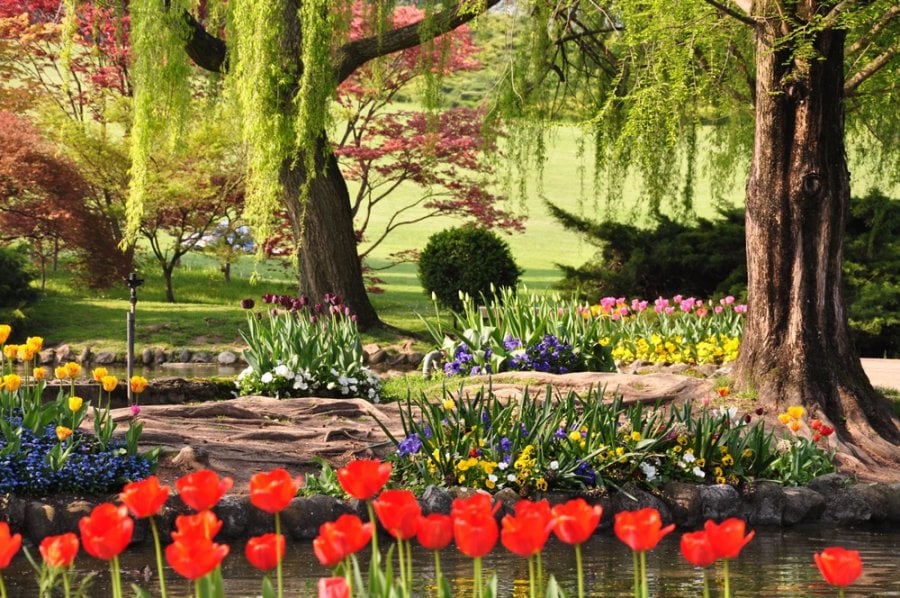 The gorgeous flowerbeds of Parco Giardino Sigurta – one of Italy's most beautiful gardens.
