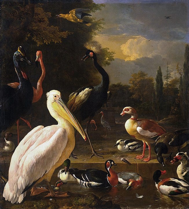 A painting of birds by Melchior de Hondecoeter, featuring a wide range of different varieties all congregating together.