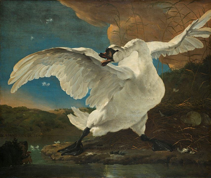This famous bird painting by Jan Asselijn depicts a large white swan ferociously defending its nest from a dog.
