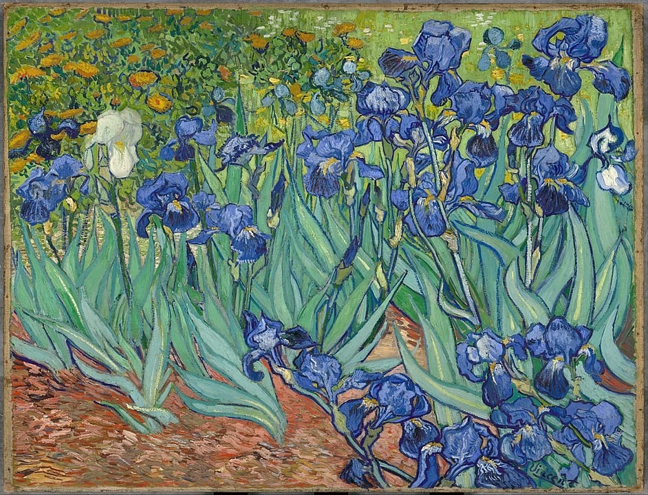 Irises by Van Gogh, a painting featuring brightly coloured blue and white flowers, with yellow flowers in the background.