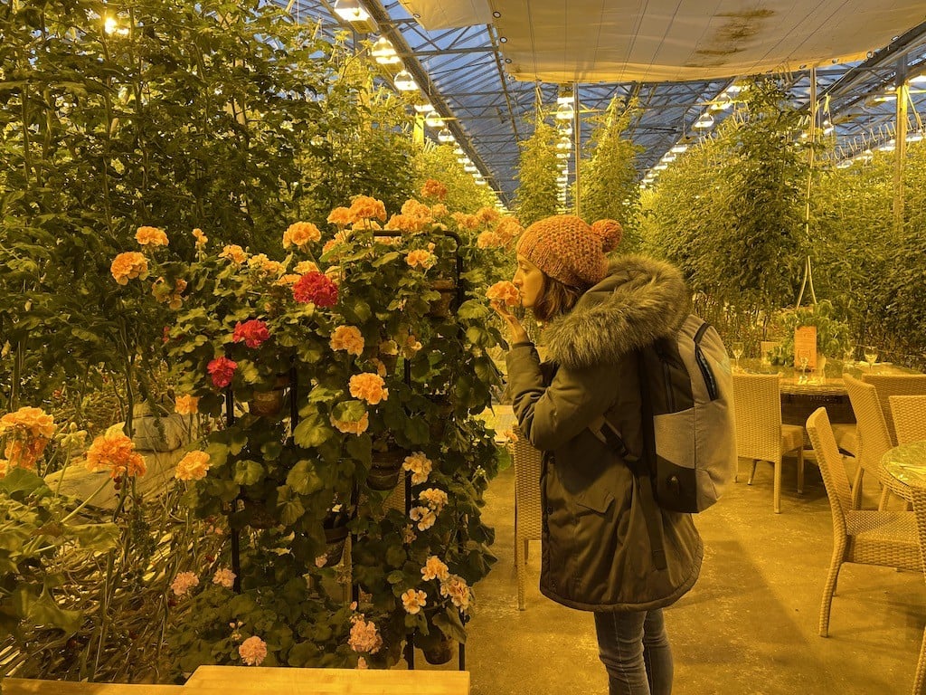 Sniff the flowers, thank the bees