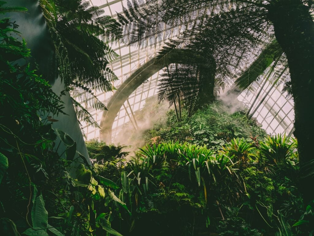 Mist gathers around the trunks of an indoor forest at Gardens by the Bay, Singapore