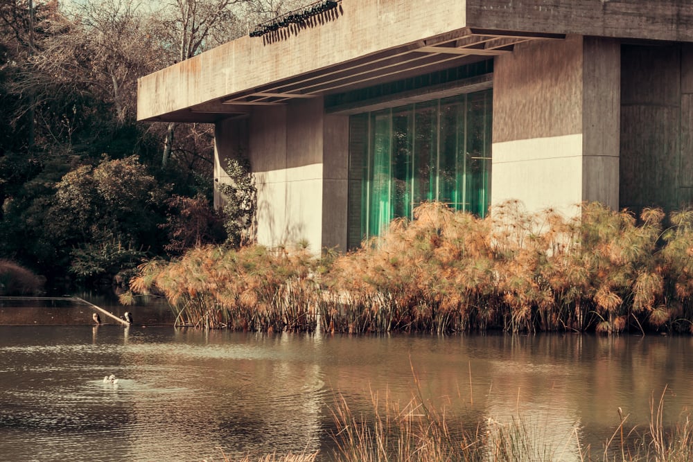 One of the best free things to do in Lisbon is to enjoy the gardens of the Gulbenkian Museum!