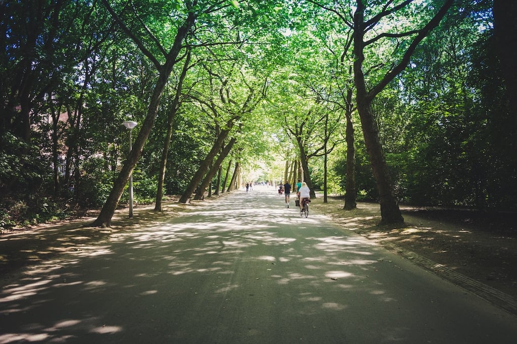 Take a stroll or bike though the Vondelpark to start your day in Amsterdam.