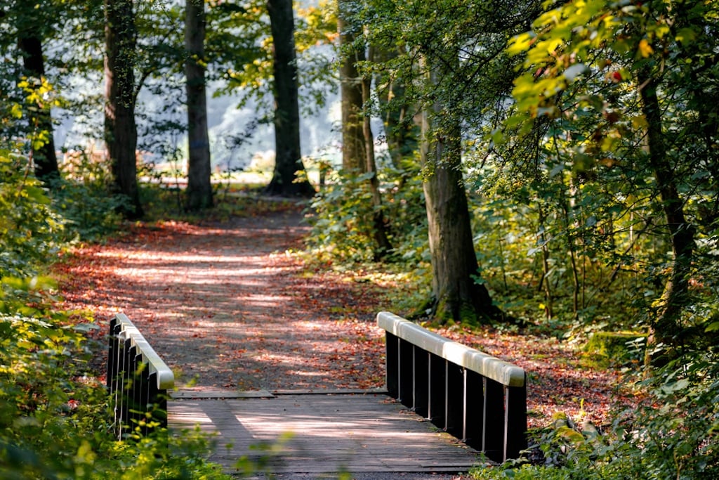 Amsterdamse Bos is a perfect place for a city getaway to enjoy some fresh air. 