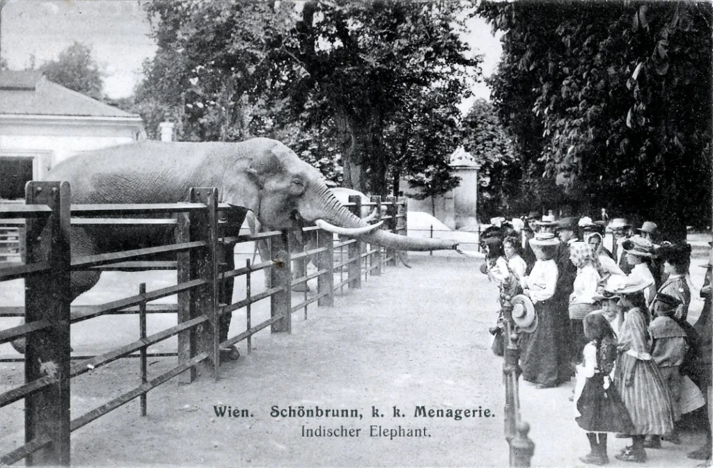 Visitors touching elephant in the Vienna Zoo in 1910.