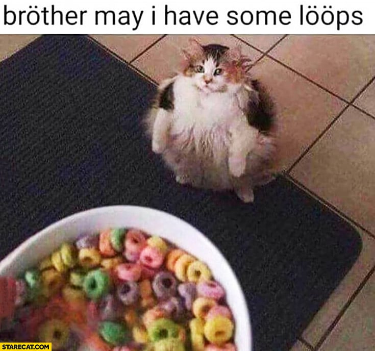 A meme Brother May I Have Some Loops