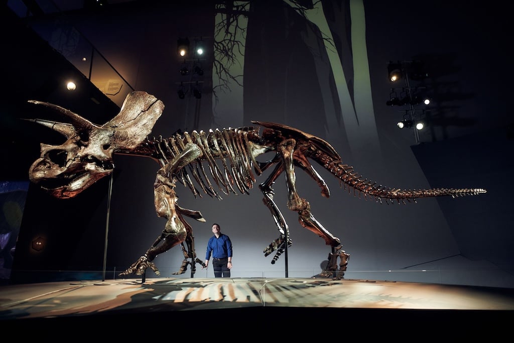 During this exhibition at Melbourne Museum, it's also possible to explore more dinosaur fossils! 
