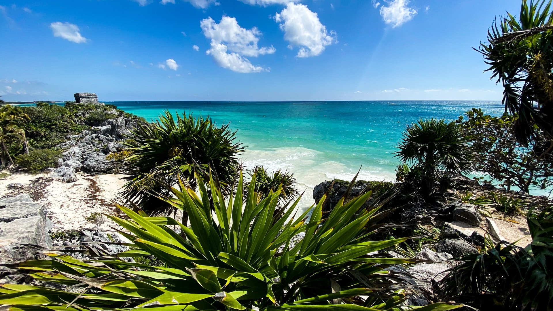 A panoramic view of the ancient Maya ruins on a beach in Tulum, Mexico