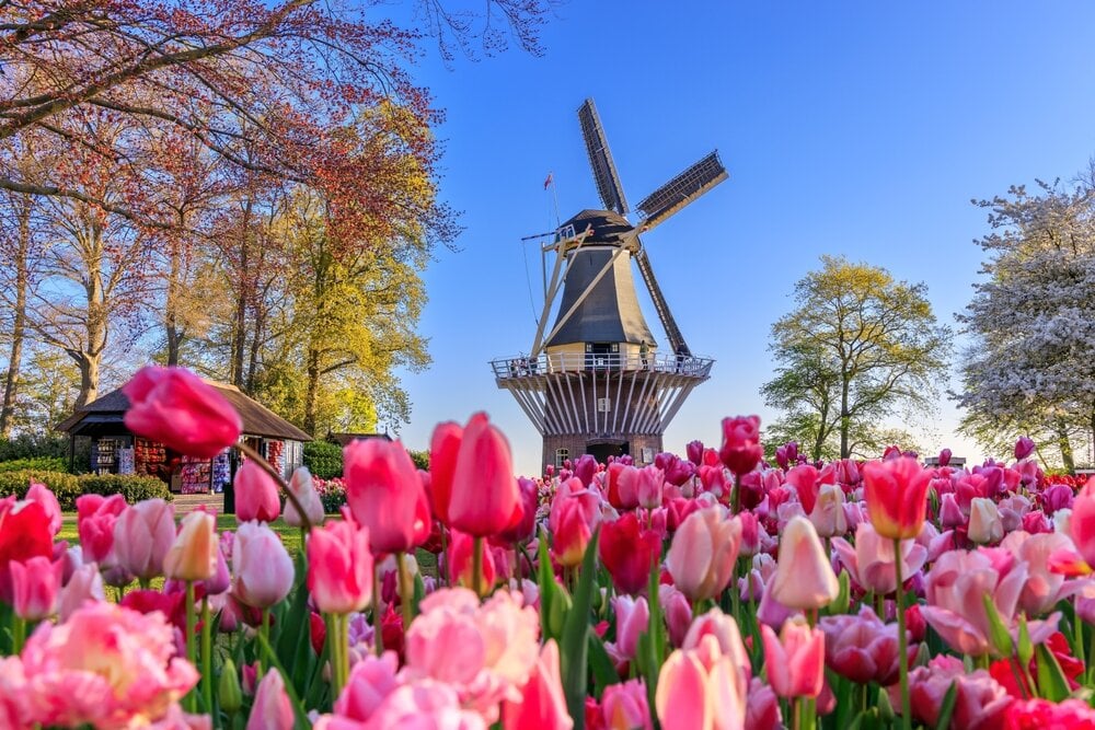 The Best Time to Visit Keukenhof Gardens in 2023